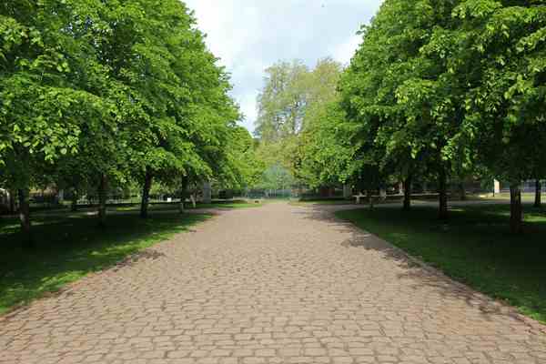 Sétaút egy parkban, fák és napfényes ösvény